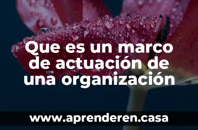 Que es un marco de actuación de una organización