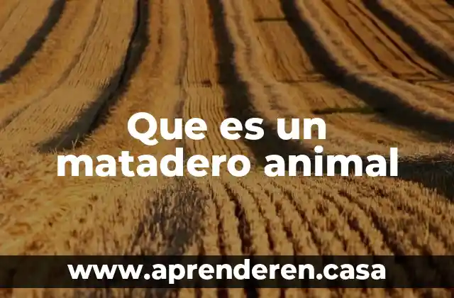 Que es un matadero animal