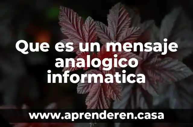 Que es un mensaje analogico informatica
