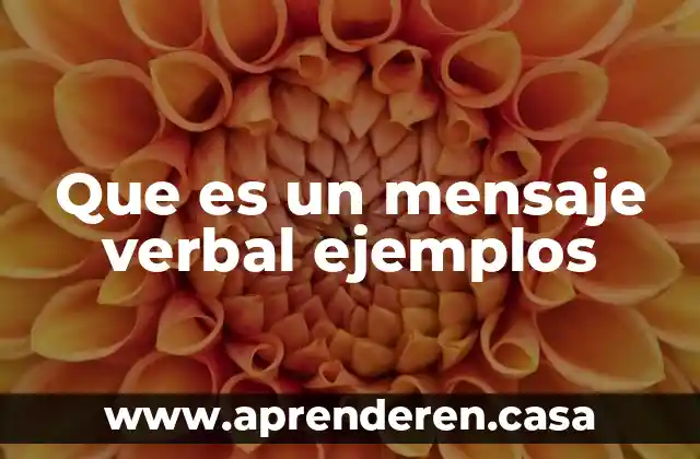 Que es un mensaje verbal ejemplos