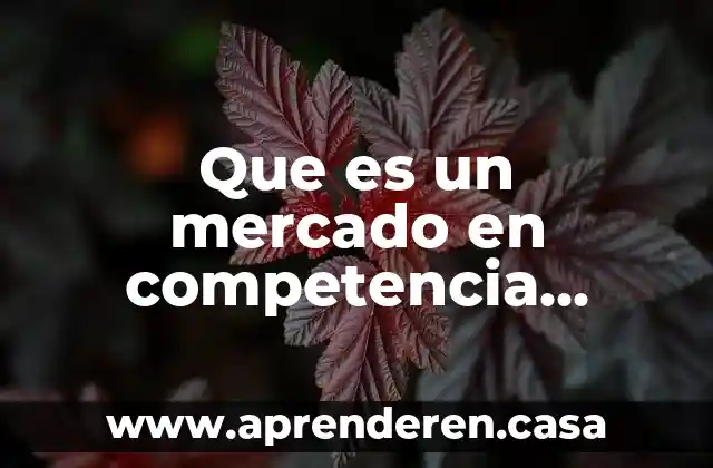 Que es un mercado en competencia perfecta
