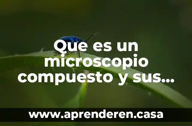 Que es un microscopio compuesto y sus partes