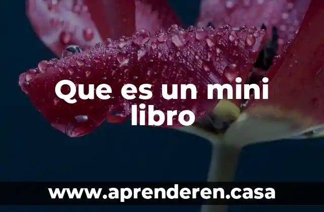 Que es un mini libro