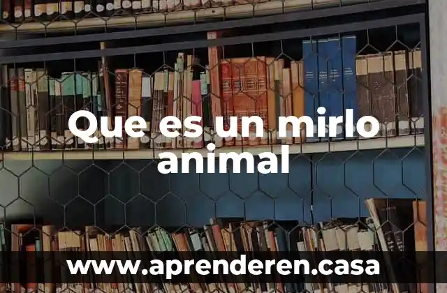 Que es un mirlo animal