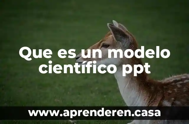 Que es un modelo científico ppt