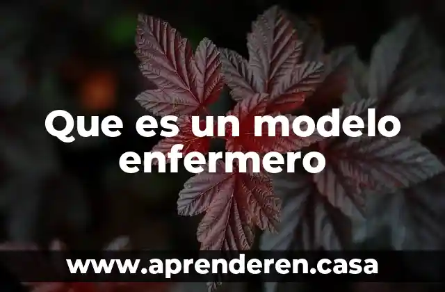 Que es un modelo enfermero