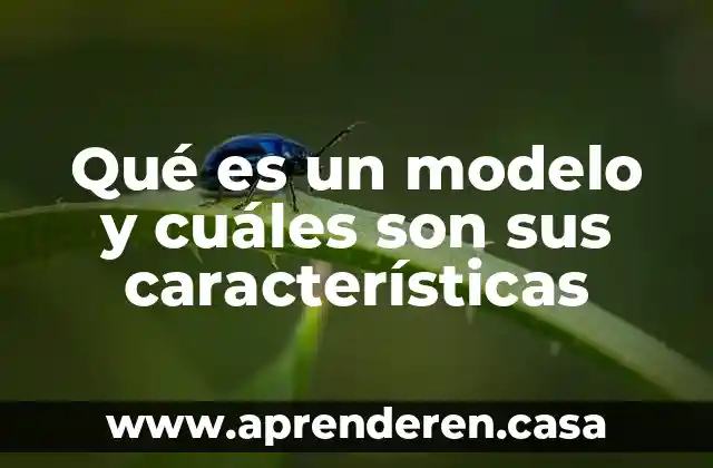 Qué es un modelo y cuáles son sus características