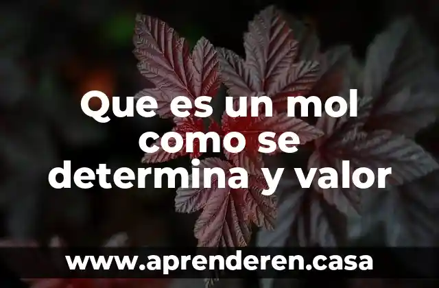 Valor absoluto en economía 5 Que es un mol como se determina y valor