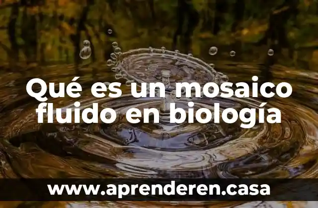 Qué es un mosaico fluido en biología
