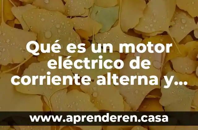 Qué es un circuito eléctrico paralelo de corriente alterna 6 Qué es un motor eléctrico de corriente alterna y directa
