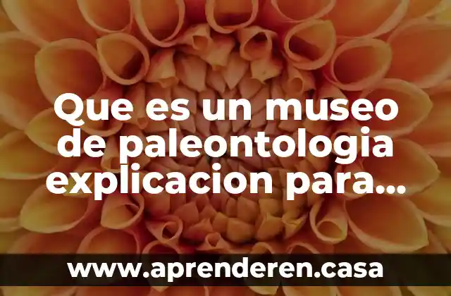 Que es una m onografia explicacion para niños 4 Que es un museo de paleontologia explicacion para niños
