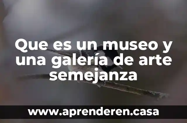 Que es un museo y una galería de arte semejanza