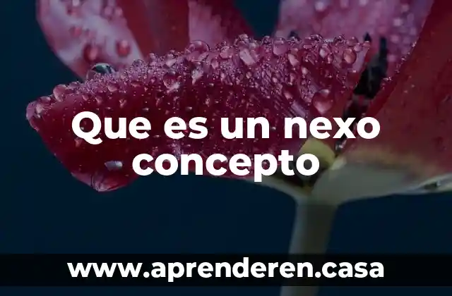 Que es un nexo concepto