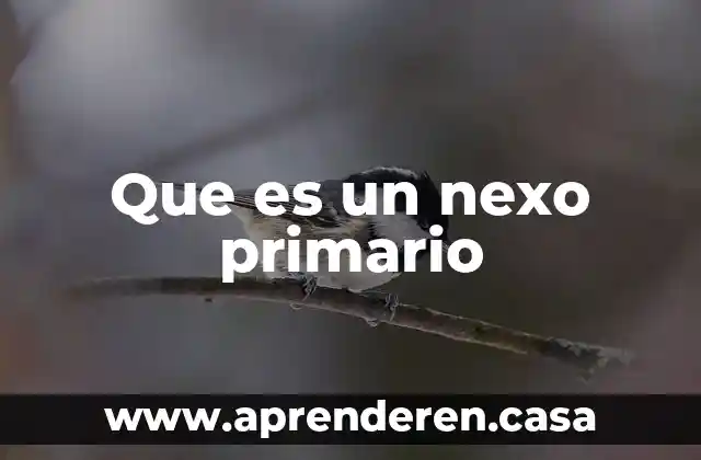 Que es un nexo primario