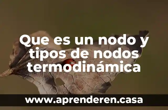 Que es un nodo y tipos de nodos termodinámica