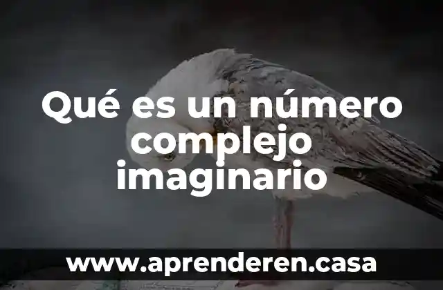 Qué es un número complejo imaginario