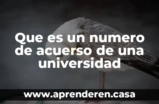 Que es una formulación sistémica 8 Que es un numero de acuerso de una universidad