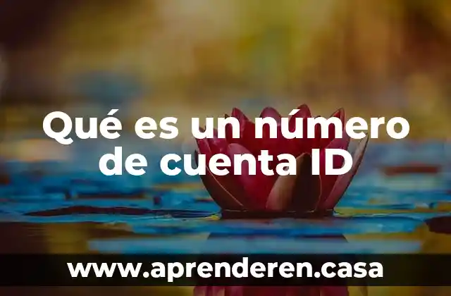 Qué es un número de cuenta ID