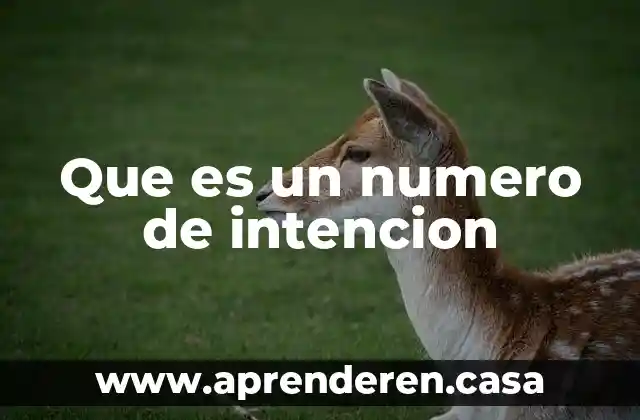 Que es un numero de intencion
