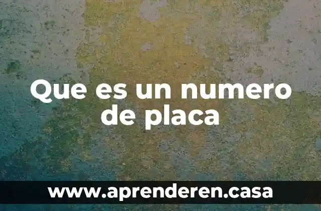 Que es un numero de placa