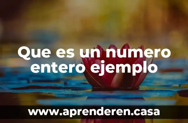 Que es numero exterior e interior de un domicilio ejemplo 8 Que es un numero entero ejemplo