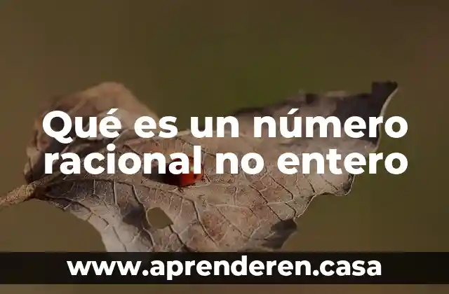 Qué es un número racional no entero