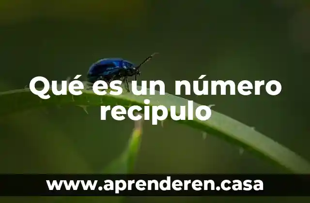 Qué es un número recipulo