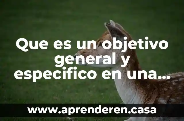 Que es un objetivo general y especifico en una investigacion