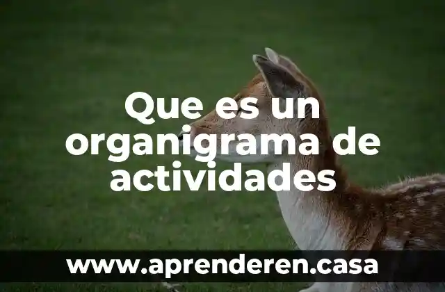 Que es un organigrama de actividades