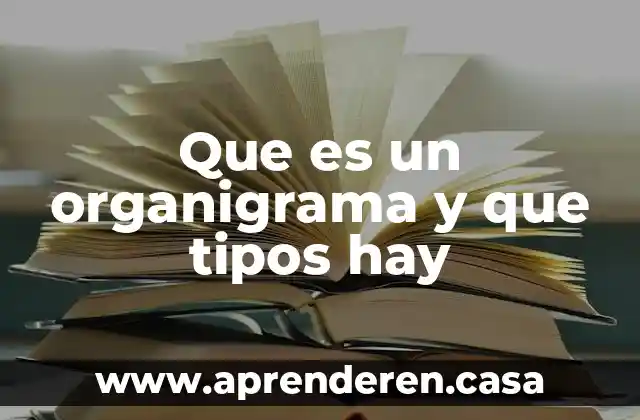 Que es un organigrama y que tipos hay