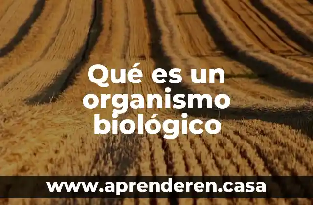Qué es el agua concepto biológico 5 Qué es un organismo biológico