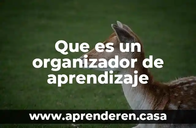 Que es el aprendizaje asociativo yahoo 4 Que es un organizador de aprendizaje