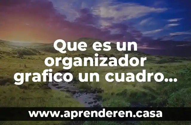 Que es un organizador grafico un cuadro comparativo