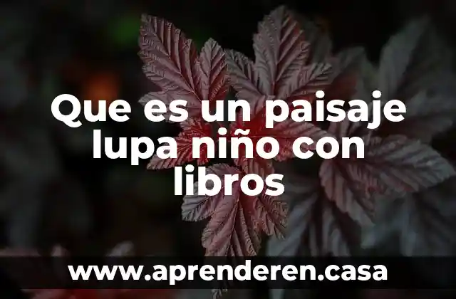 Que es un paisaje lupa niño con libros