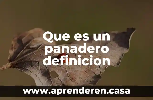 Que es un panadero definicion