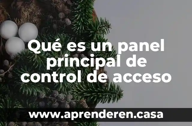 Qué es un panel principal de control de acceso