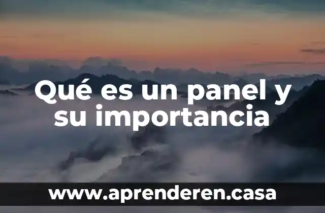 Qué es un panel y su importancia