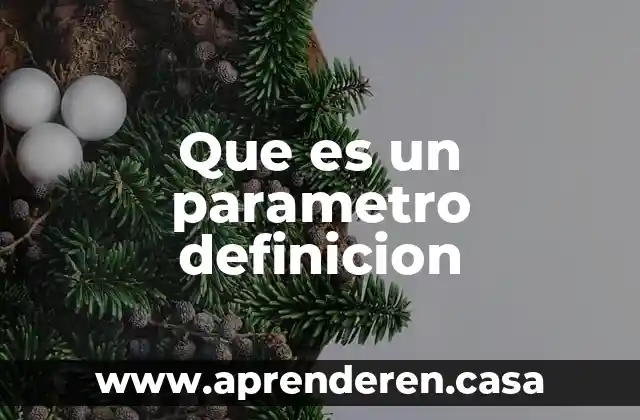 Que es un parametro definicion