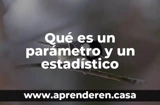 Qué es un parámetro y un estadístico