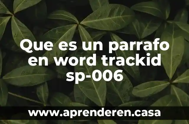 Que es un parrafo en word trackid sp-006
