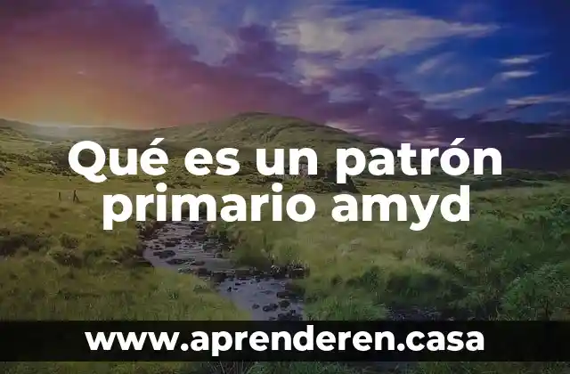 Qué es un patrón primario amyd