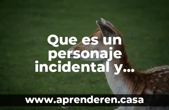 Que es un personaje incidental y explicativo y que hace
