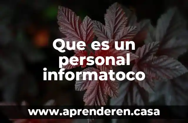 Que es un personal informatoco