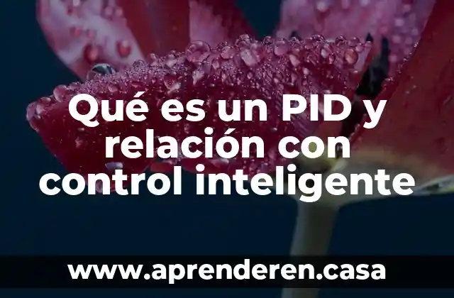 Que es una relacion laboral clasificacion 4 Qué es un PID y relación con control inteligente