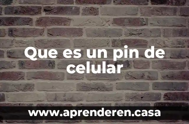 Que es un pin de celular