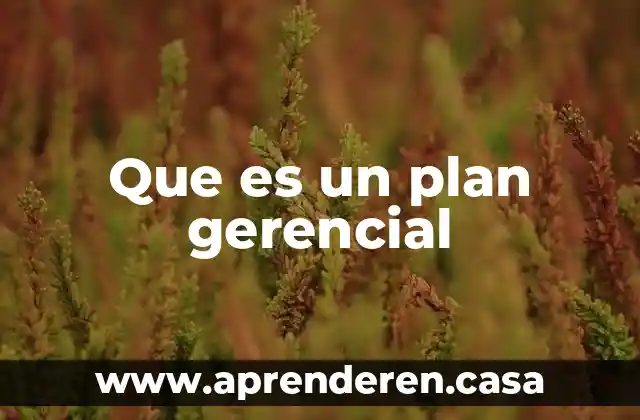 Que es el plan da ayala 5 Que es un plan gerencial