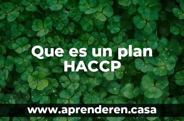Que es el plan da ayala 7 Que es un plan HACCP