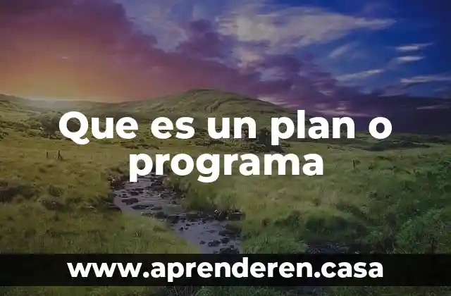 Que es un plan o programa