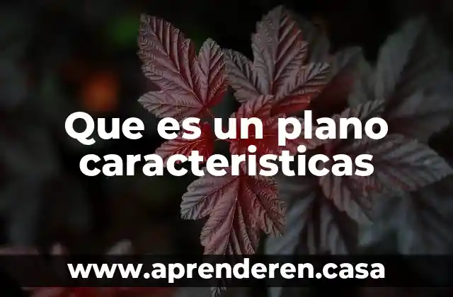Que es un plano caracteristicas