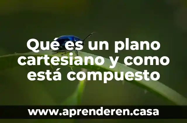 Qué es un plano cartesiano y como está compuesto